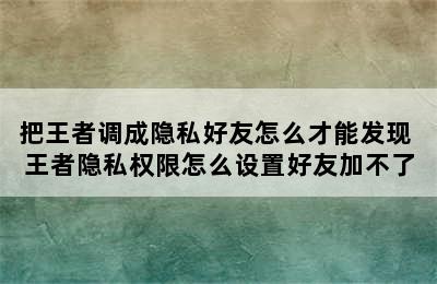 把王者调成隐私好友怎么才能发现 王者隐私权限怎么设置好友加不了